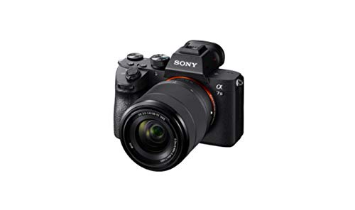 Sony Alpha 7 III Spiegellose Vollformat-Kamera | Spiegelreflexkamera Test  2024