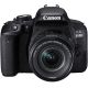 Canon EOS 800D SLR-Digitalkamera Test