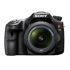 Sony SLT-A65V SLR-Digitalkamera Test